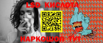 Альфа ПВП Сланцы