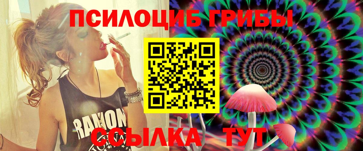 Галлюциногенные грибы прущие грибы  Вход с VPN  Нефтекумск 